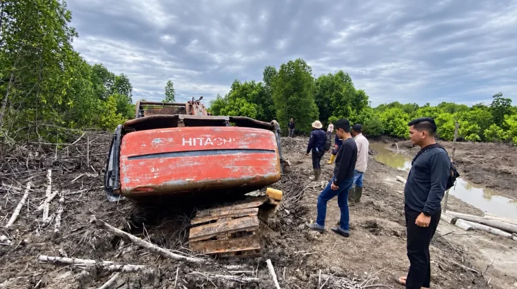 Polda Riau Tetapkan Tersangka Kasus Perambahan 111,77 Hektare Mangrove di Dumai