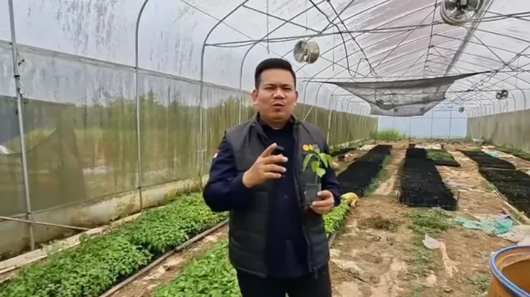 P4S Pemuri Pekanbaru Berikan Contoh Kolaborasi Pertanian Terintegrasi di Riau