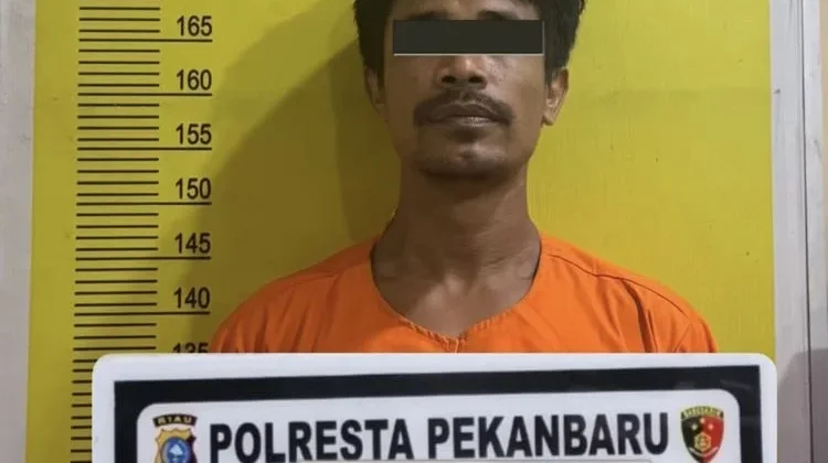 Aniaya Warga di Ruang Terbuka Hijau, Seorang Pria Ditangkap Polisi
