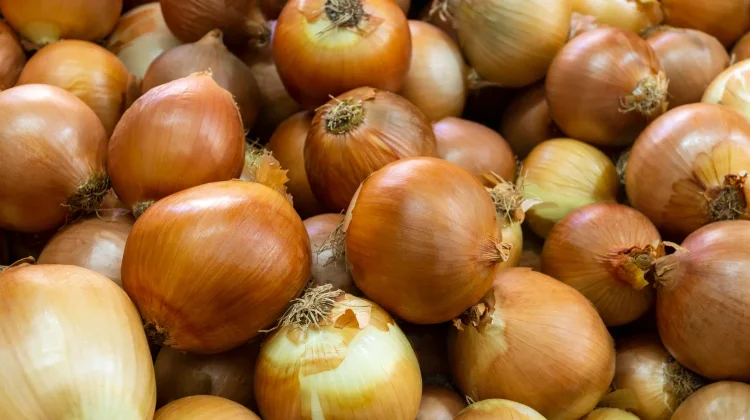 Rahasia Rasa Manis Bawang Bombay yang Menggugah Selera