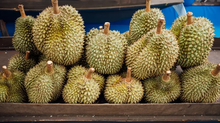 Fakta Unik di Balik Buah Durian