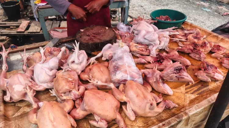 Harga Ayam di Pasar Kodim Pekanbaru Mulai Turun