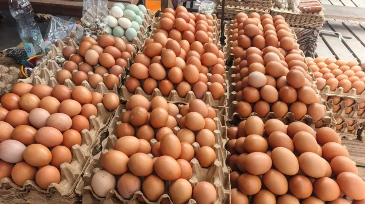 Harga Telur di Pasar Kodim Pekanbaru Kembali Naik