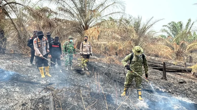 Polda Riau Tangani Kasus Karhutla, 55 Tersangka