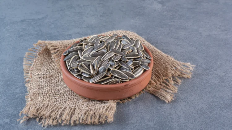 Bukan Sekadar Camilan, Ini Manfaat Kuaci bagi Kesehatan