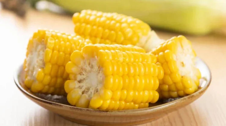 Jagung Kaya Serat dan Nutrisi Baik Bagi Kesehatan Tubuh