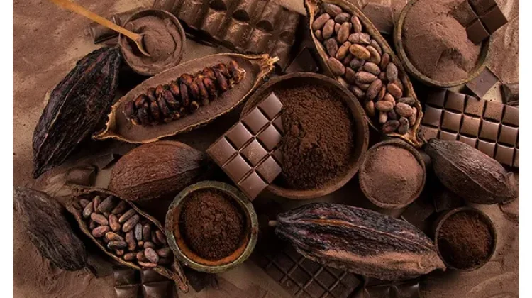 11 Manfaat Coklat untuk Kesehatan, Meningkatkan Mood hingga Kognitif.