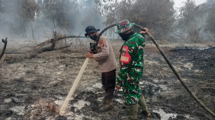 Kabut Asap Siak Dipengaruhi Asap Lintas Wilayah