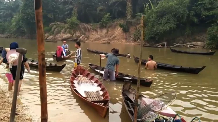 Pesona Tradisi Manubo Ikan yang Tetap Lestari di Sungai Tapung