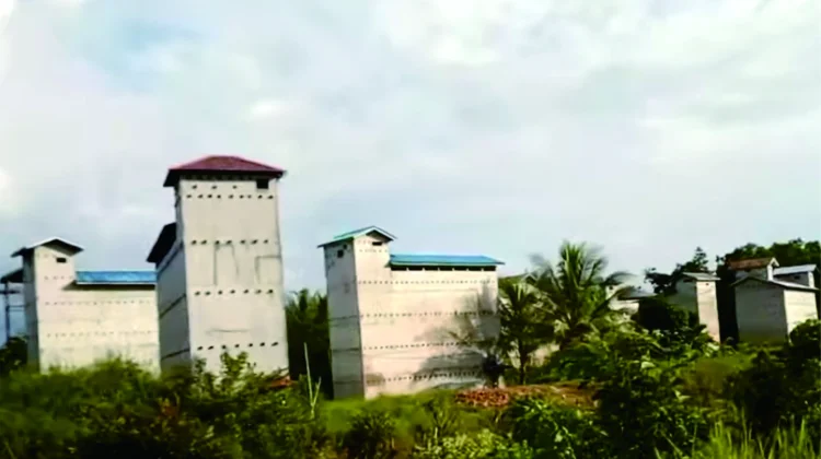Potensi Usaha Kampung Walet di Desa Teluk Meranti Pelalawan