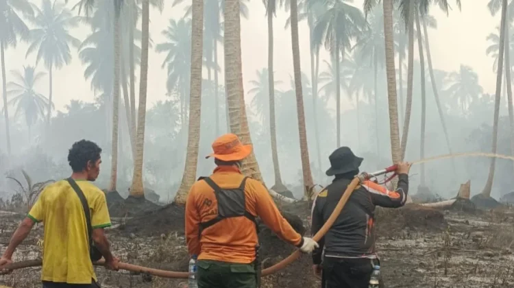 Karhutla Gambut Melanda Dua Desa di Gaung