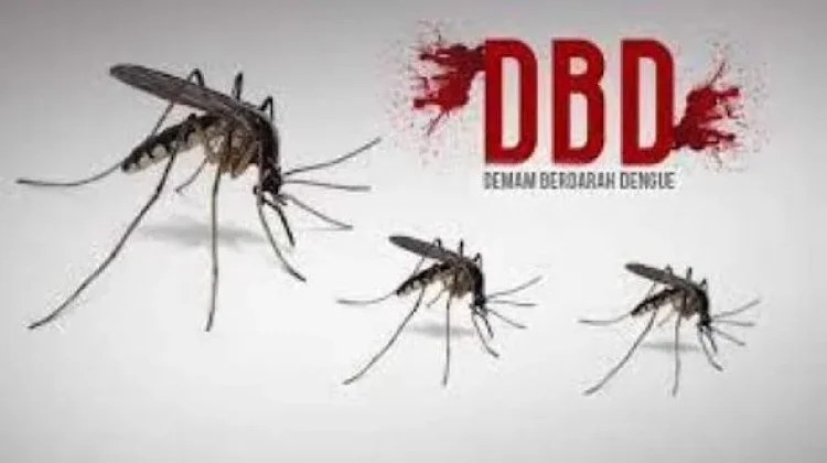Kasus DBDDi Inhu Capai 235 Kasus