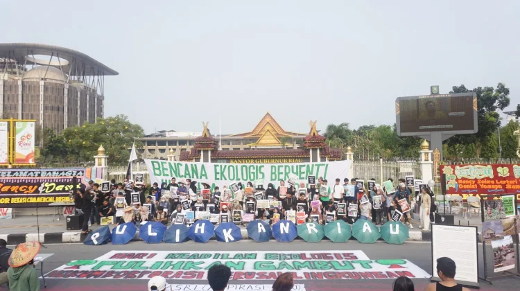 Orang Muda Riau Desak Perlindungan Gambut dan Penindakan Korporasi