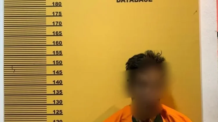 Polres Indragiri Hulu Tangkap Pembakar Hutan dan Lahan Seluas 1,8 Hektare