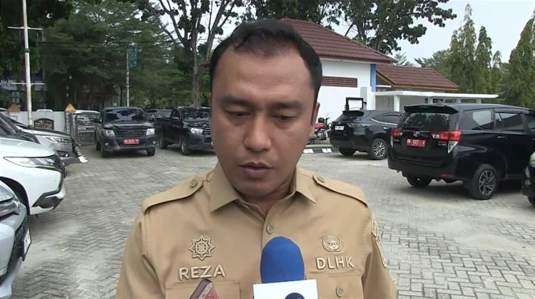 DLHK Pekanbaru Relokasi Pohon Terdampak Pelebaran Jalan