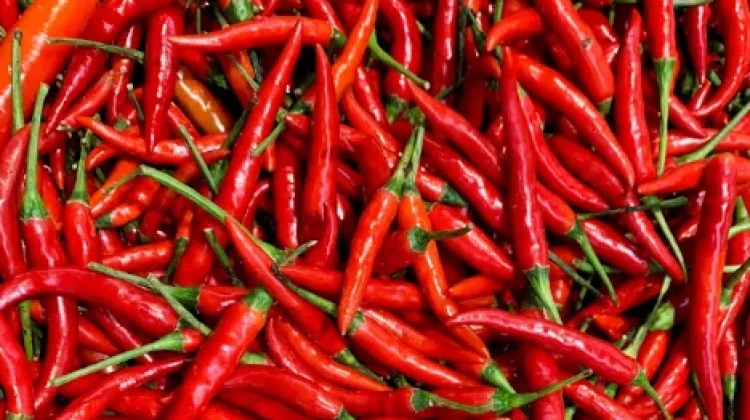 Harga Cabai di Pasar Kodim Pekanbaru Mengalami Kenaikan
