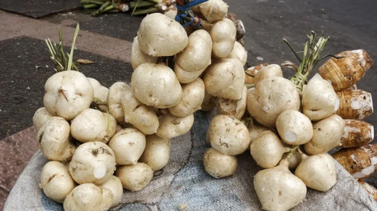 Bengkoang Kaya Serat dan Vitamin C untuk Kesehatan