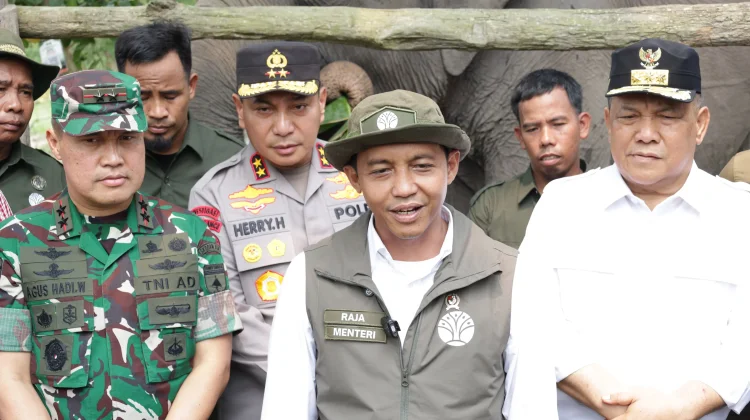 Anak Gajah Tesso Nilo Diberi Nama Ganesha oleh Titiek Soeharto