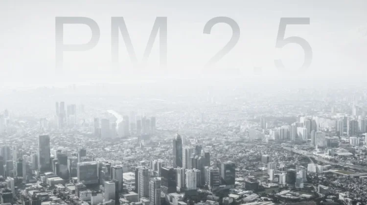 PM2.5 Tinggi, Udara Pekanbaru Kembali Tidak Sehat