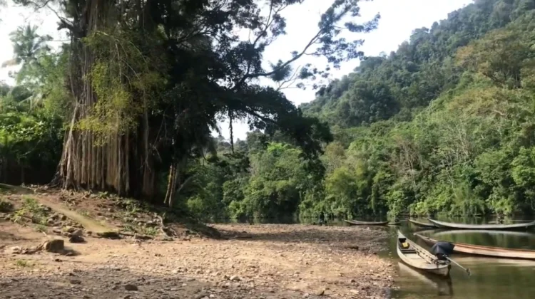 Menjelajahi Keindahan Tersembunyi Desa Ludai Kampar Kiri Hulu