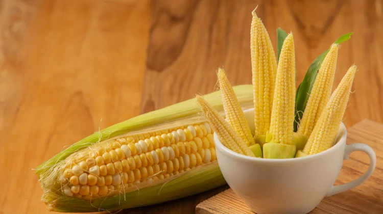 Jagung Tinggi Serat, Nikmat Dimakan, Baik Bagi Kesehatan