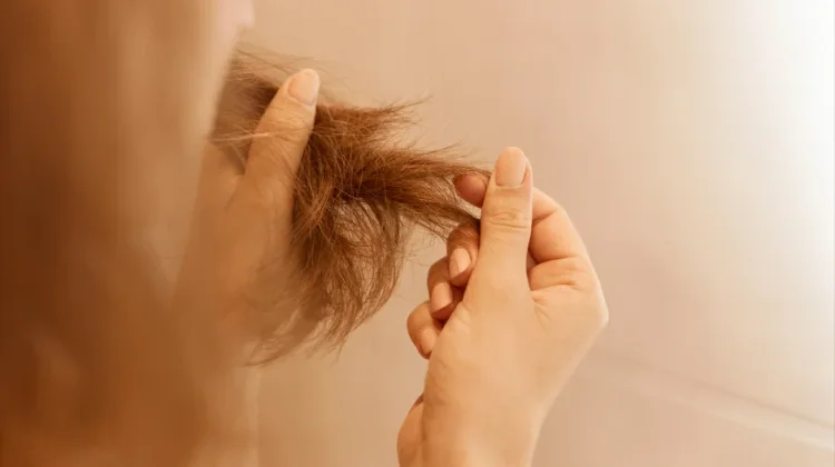 Penyebab Rambut Bercabang serta Cara Mengatasinya