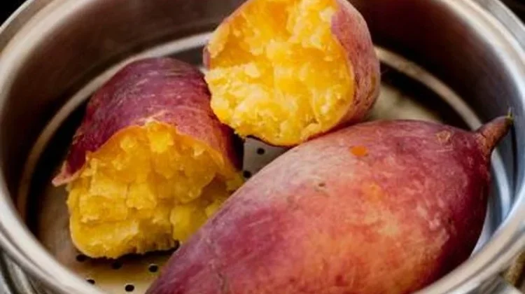 Manfaat Ubi Rebus bagi Kesehatan Tubuh