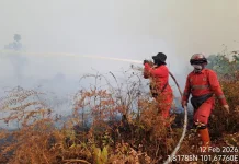 Karhutla masih melanda sejumlah wilayah Riau