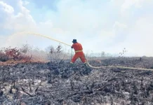 DPRD Riau Serukan Kewaspadaan Karhutla di Musim Kemarau