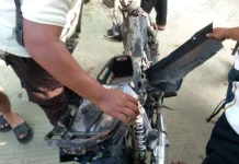 Kawanan Gajah Masuk Perumahan Karyawan Minas
