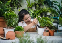 Cara Memulai Berkebun di Rumah untuk Pemula