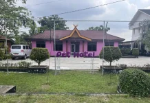 Dinas PKH Riau Resmikan Pet Hotel Kucing