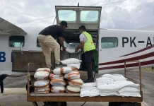 Kemenhut Perkuat Antisipasi Karhutla, Siapkan Helikopter dan Modifikasi Cuaca
