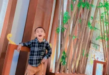 Fotografer: Seni dan Profesi dalam Mengabadikan Momen di Era Digital