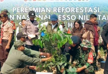 Pulihkan TNTN, Pemerintah Luncurkan Reforestasi Seluas 400 Hektar