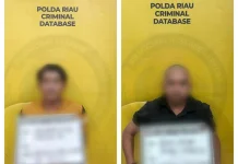 Kejar-kejaran dengan Polisi, Mobil Diduga Pengedar Sabu Terbalik di Rohil
