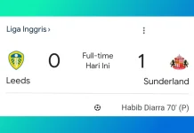 Sunderland Akhiri Paceklik Tandang, Leeds Tumbang Dramatis 0-1