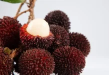 Pulasan, Buah Manis yang Kian Langka