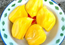 Buah Nangka Mengandung Nutrisi Tinggi dan Baik untuk Tubuh