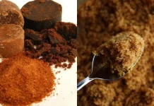 Kenali Perbedaan Palm Sugar dan Brown Sugar dalam Olahan Makanan