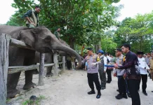 Dukung Pelestarian Gajah, Kapolri - Titiek Soeharto Tinjau TNTN