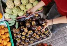 Buah Lokal Indonesia Rasa Unik dan Kaya Manfaat