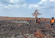 DPRD Riau Warning Karhutla, Warga Diminta Tidak Bakar Lahan