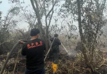 Maksimalkan Personil, Logistik, dan Dukungan di Lapangan Karhutla