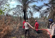 Hari Raya, Tim Fire Brigade Pertamina RU II Dumai Berjibaku Padamkan Karhutla