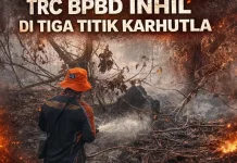 TRC BPBD Inhil Padamkan Karhutla