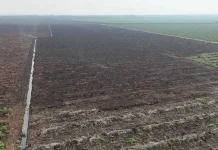 Sinergi Tim Gabungan Padamkan Karhutla di Pelalawan