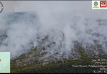 Api Karhutla Muncul Lagi di Pelalawan