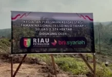 DPRD Riau Dorong Proses Relokasi Warga TNTN Berjalan Lancar