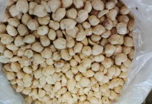 Kemiri Rempah Tradisional Kaya Manfaat dan Berpeluang Jadi Komoditas Bisnis